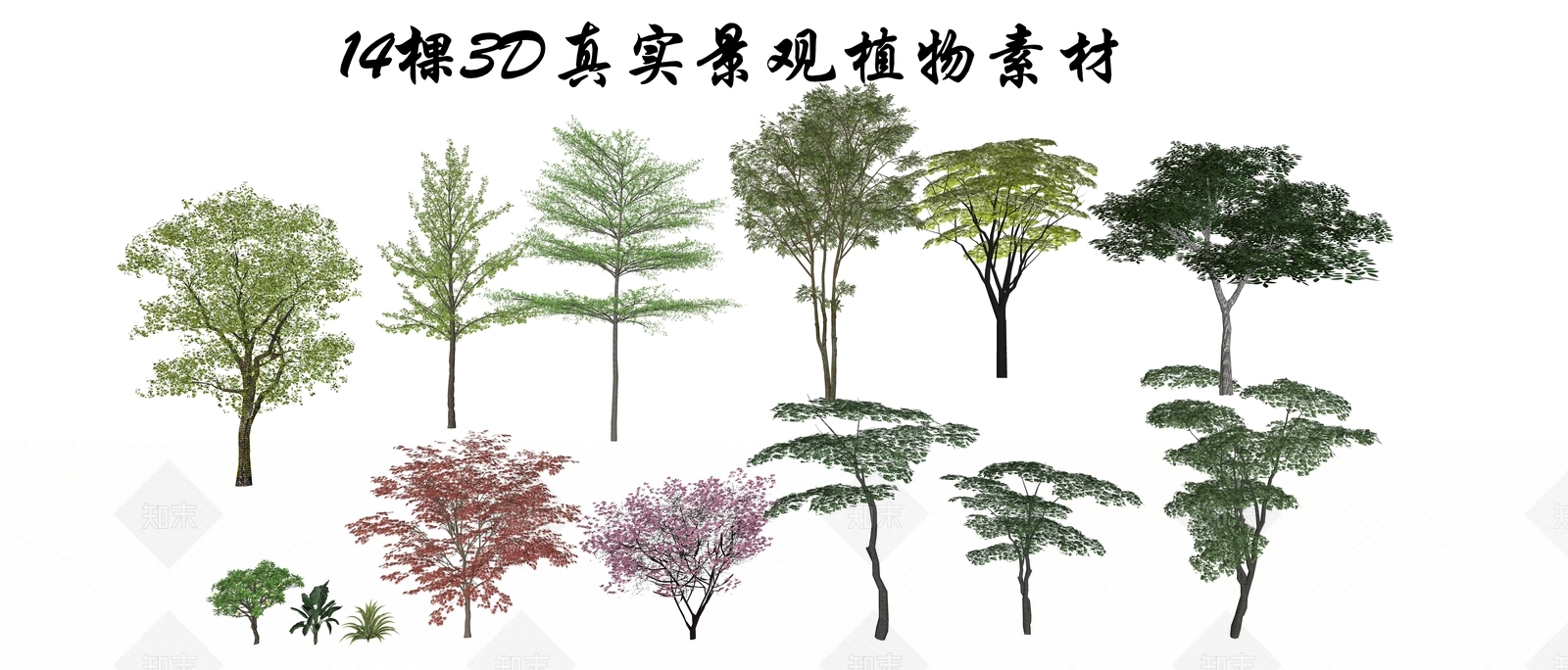3D乔木植物SU模型下载【ID:1125776962】_知末su模型网