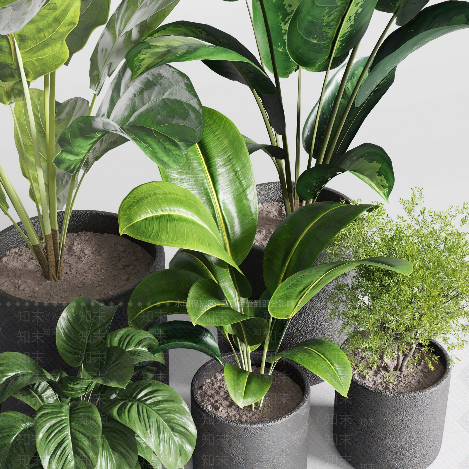 现代植物盆栽3D模型下载【ID:1125784523】_知末3d模型网