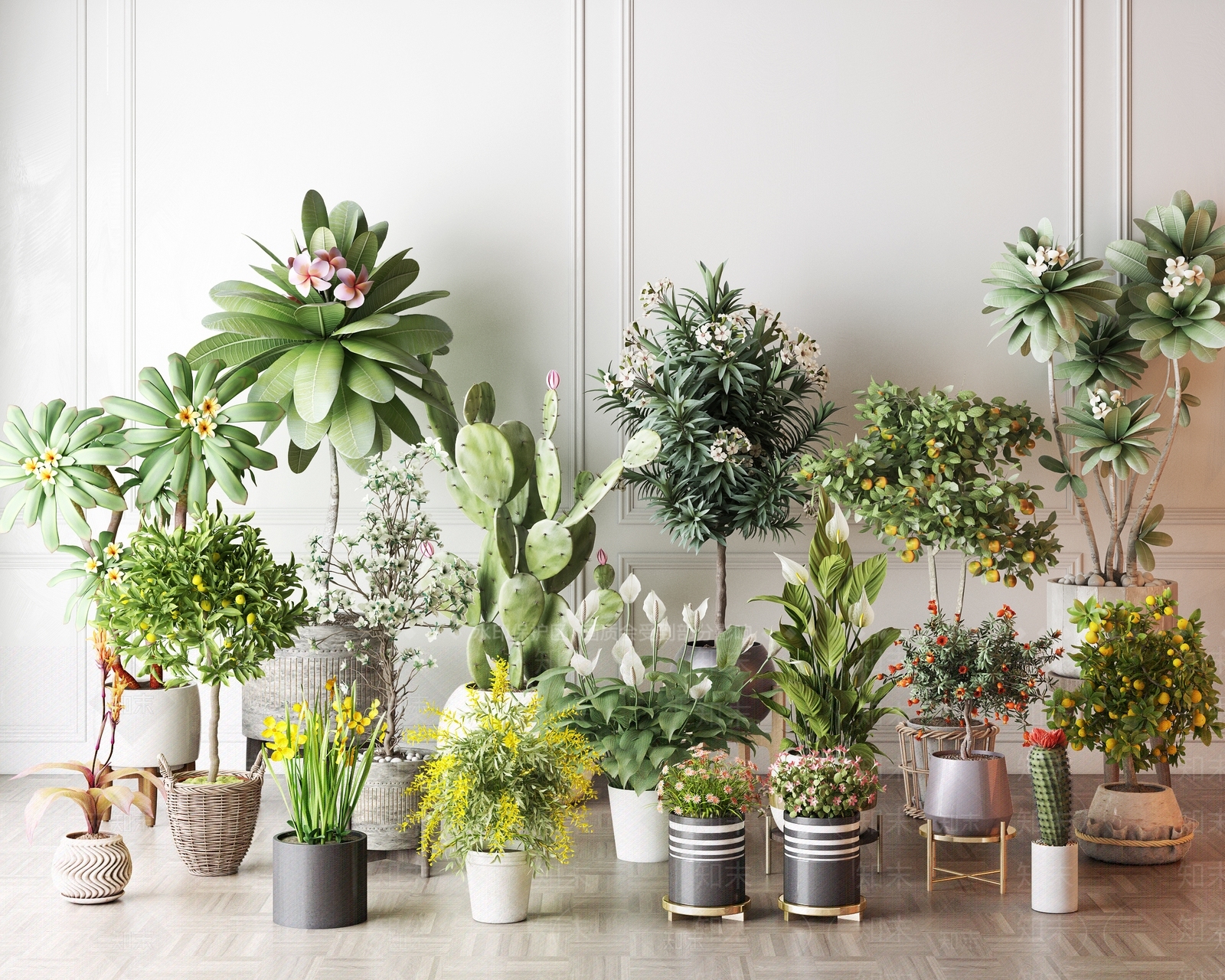 花卉植物盆栽SU模型下载【ID:1125801894】