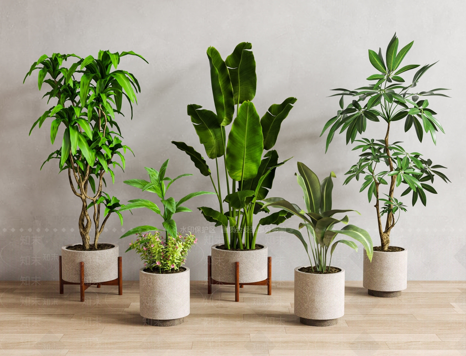 绿植盆栽3D模型下载【ID:1125821573】_知末3d模型网
