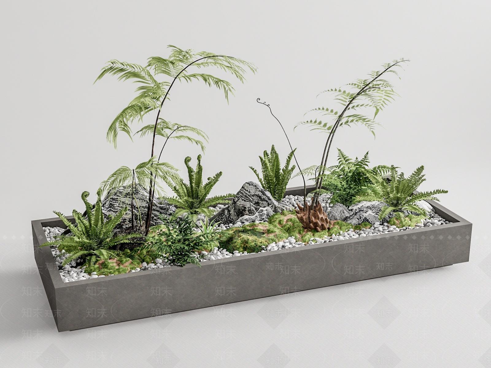蕨类植物堆3D模型下载【ID:1125919178】