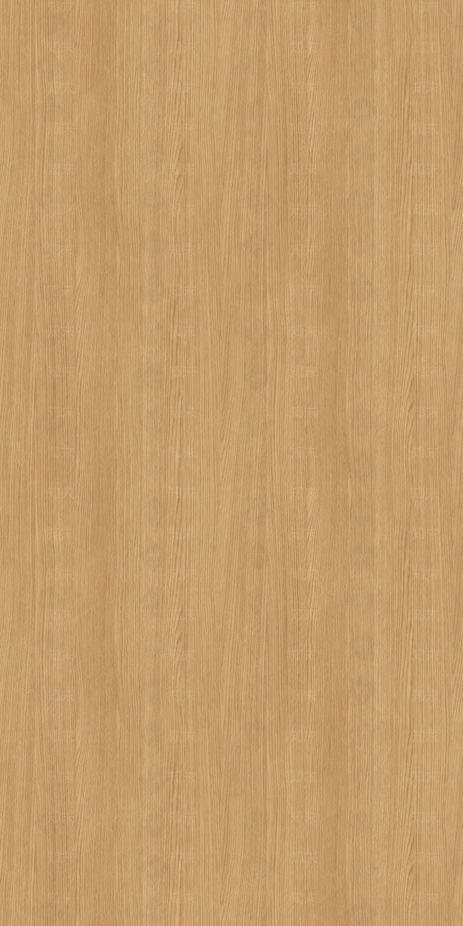 浅色原木木饰面木板贴图下载【ID:1126525673】