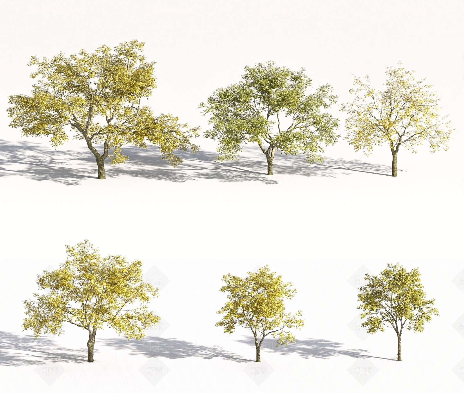 景观乔木树木SU模型下载【ID:1126005256】
