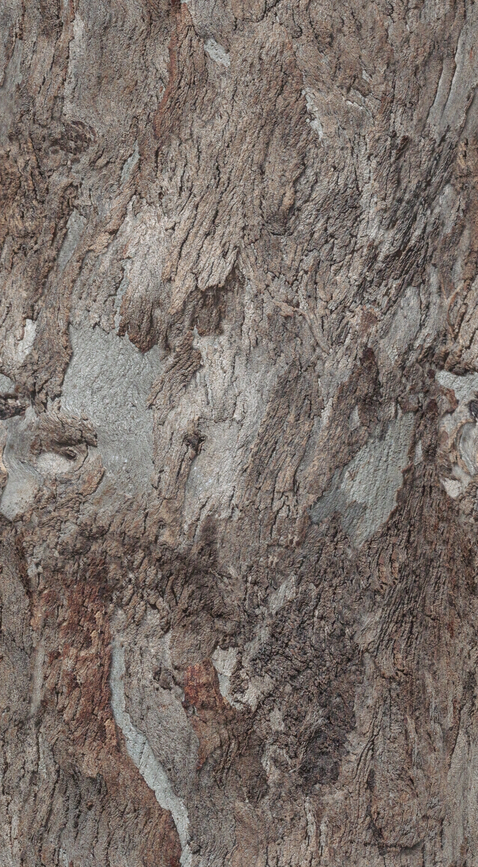 粗糙树皮树外表旧木贴图贴图下载【ID:1126055951】