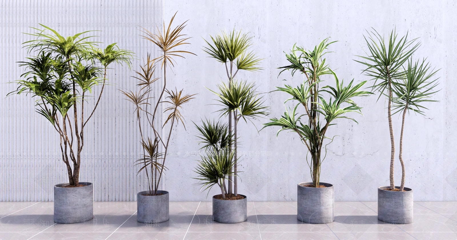 装饰盆栽植物组合SU模型下载【ID:1126073067】