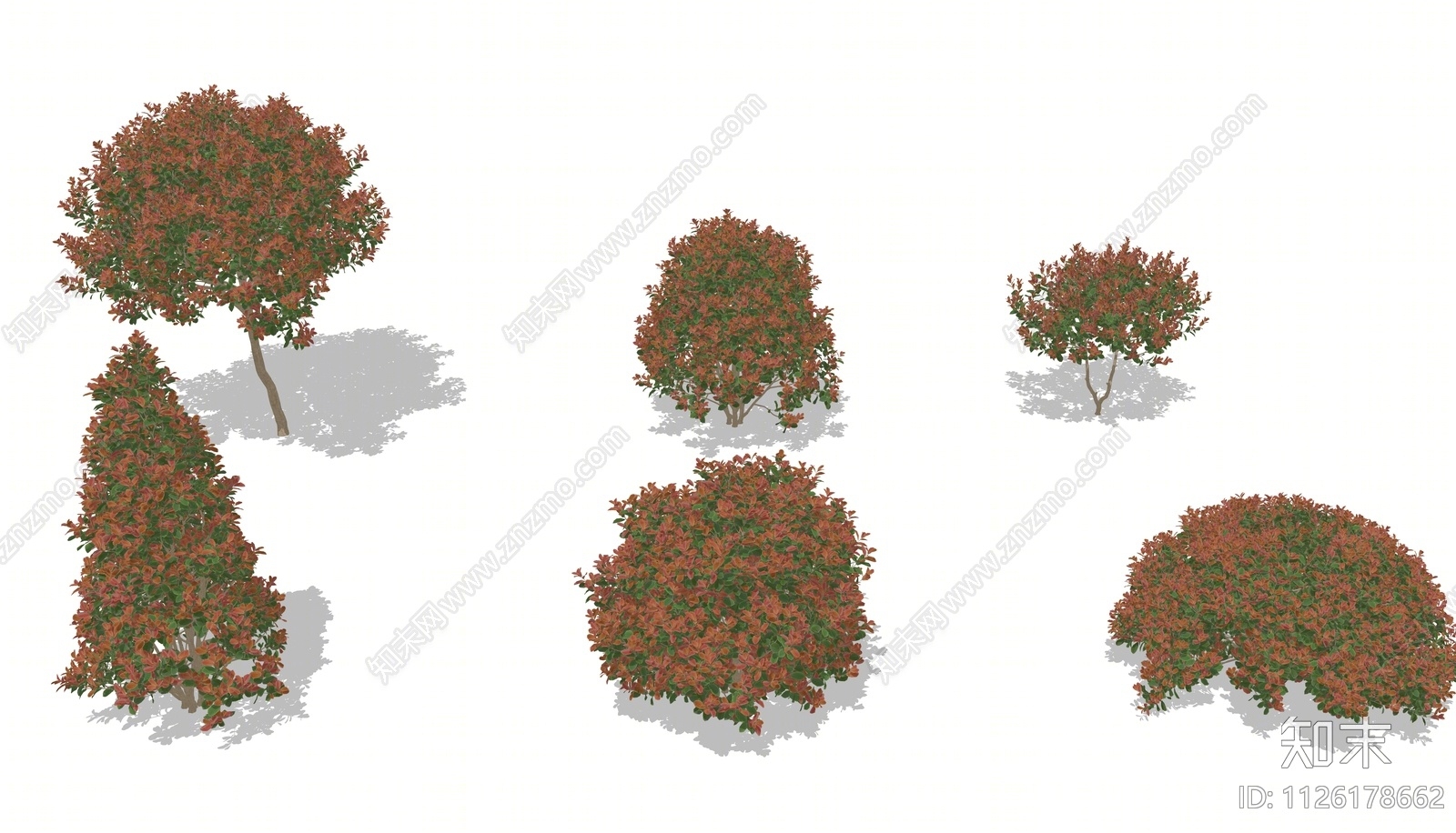 红叶石楠绿化灌木组合SU模型下载【ID:1126178662】