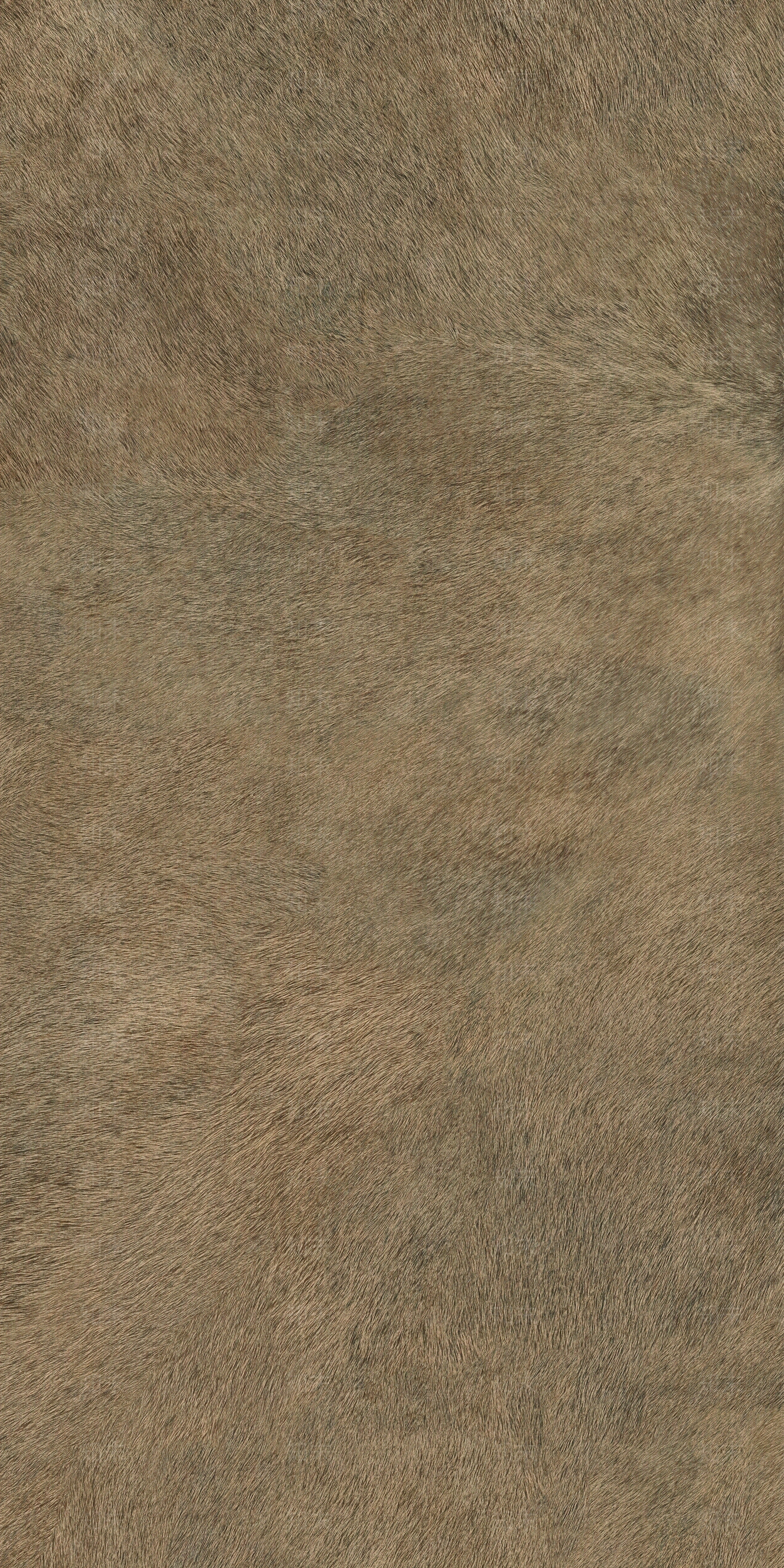 玛缇马毛系列皮纹砖贴图下载【ID:1126211805】