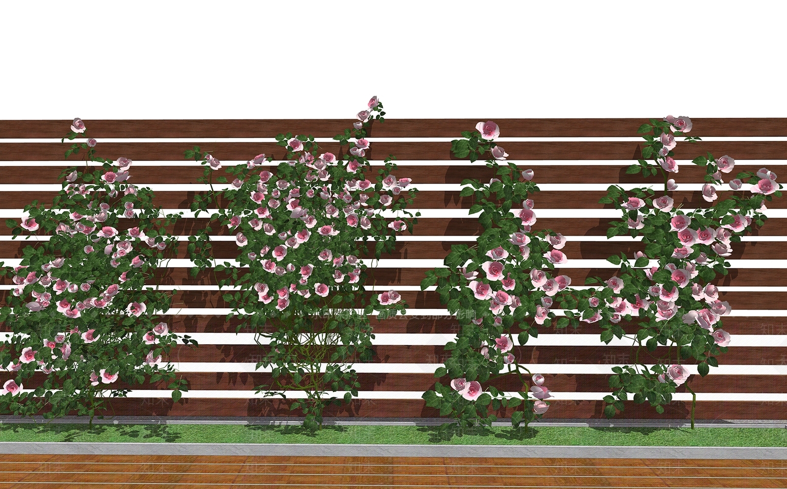 庭院绿植爬藤月季花SU模型下载【ID:1126257642】