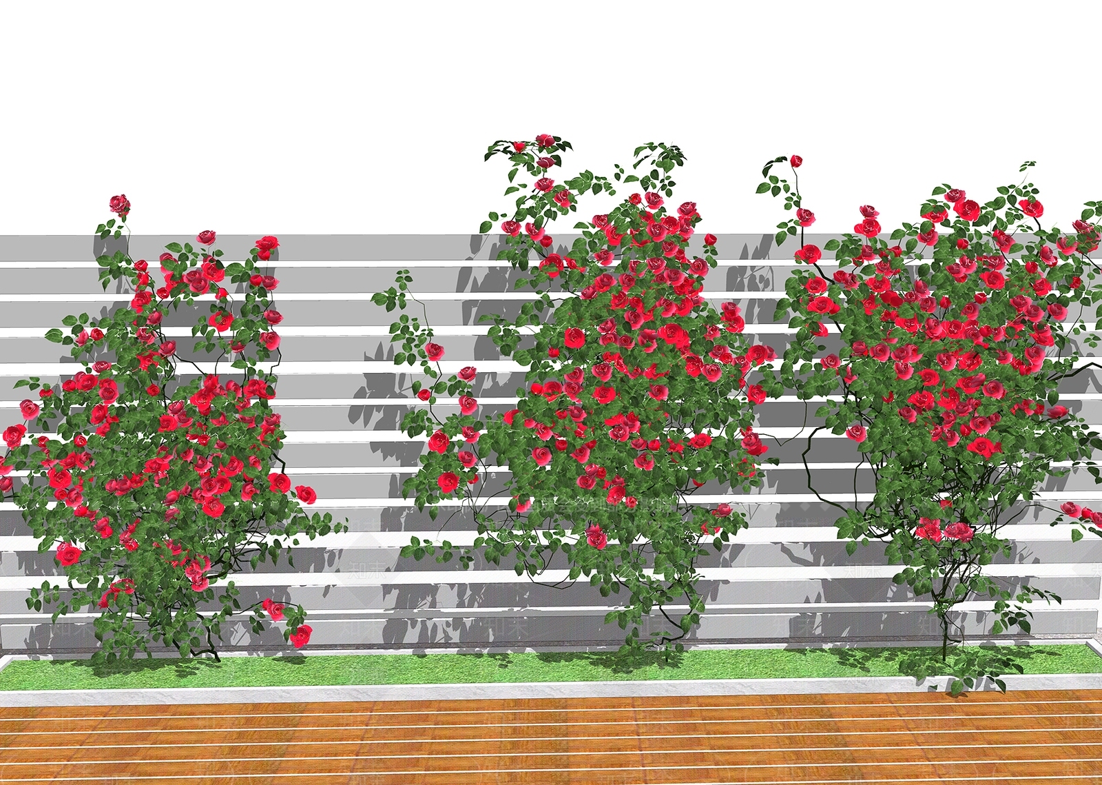 庭院绿植爬藤月季花SU模型下载【ID:1126257731】