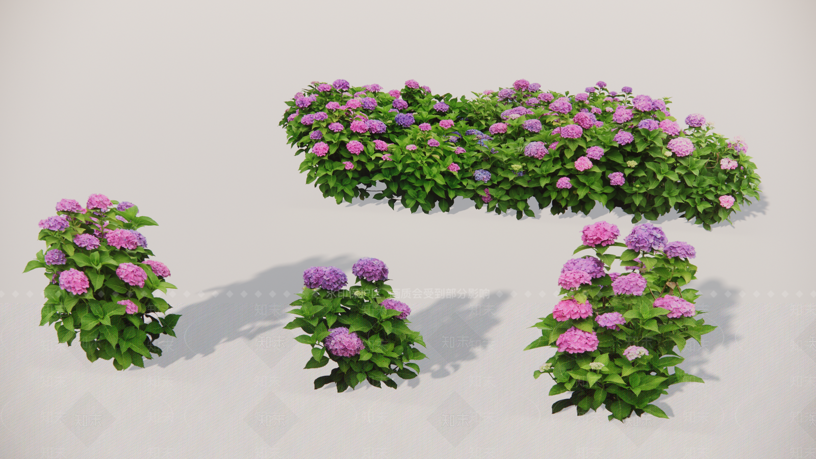 2D绣球SU模型下载【ID:1127845062】