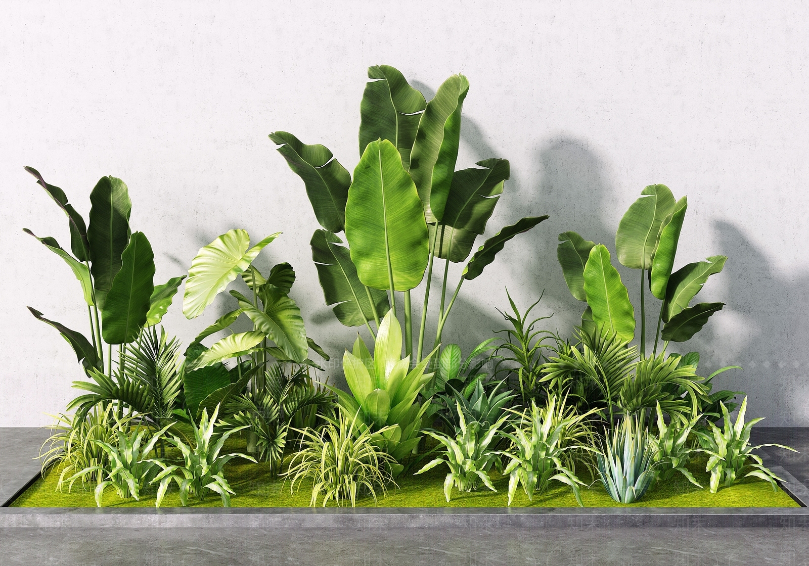 植物堆3D模型下载【ID:1126593061】