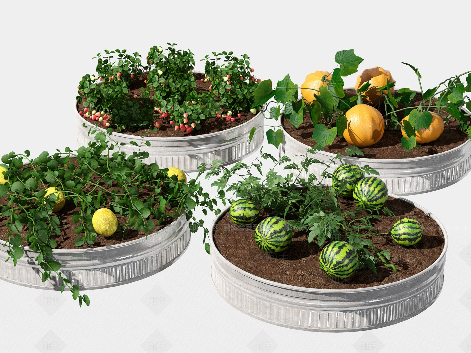 现代庭院蔬菜菜地SU模型下载【ID:1126621154】