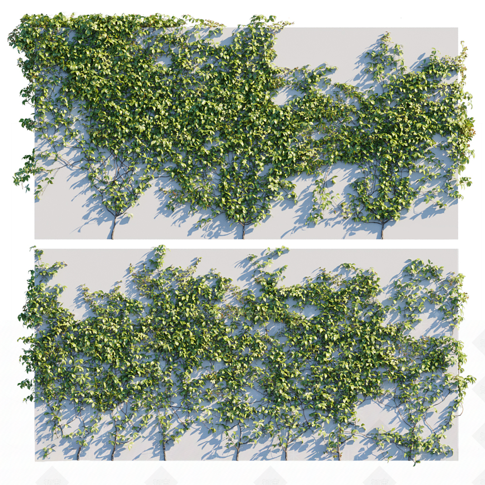 现代爬山虎3D模型下载【ID:1126693614】
