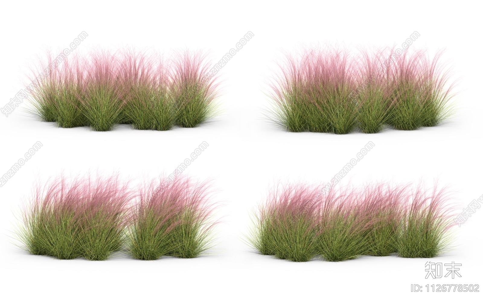 观赏草花卉植物效果图PSD免抠贴图下载【ID:1126778502】_【知末网贴图库】