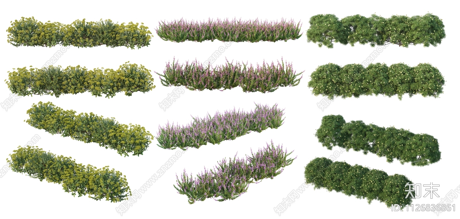 多角度灌木植物效果图PSD免抠贴图下载【ID:1126836861】_【知末网贴图库】