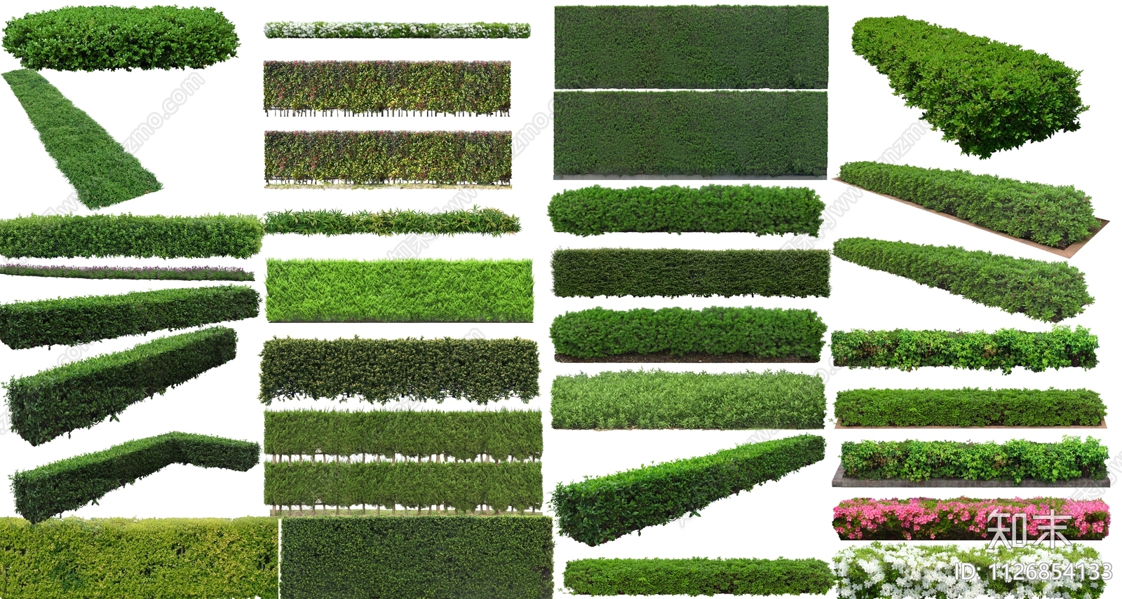 绿篱植物效果图PSD免抠下载【ID:1126854133】