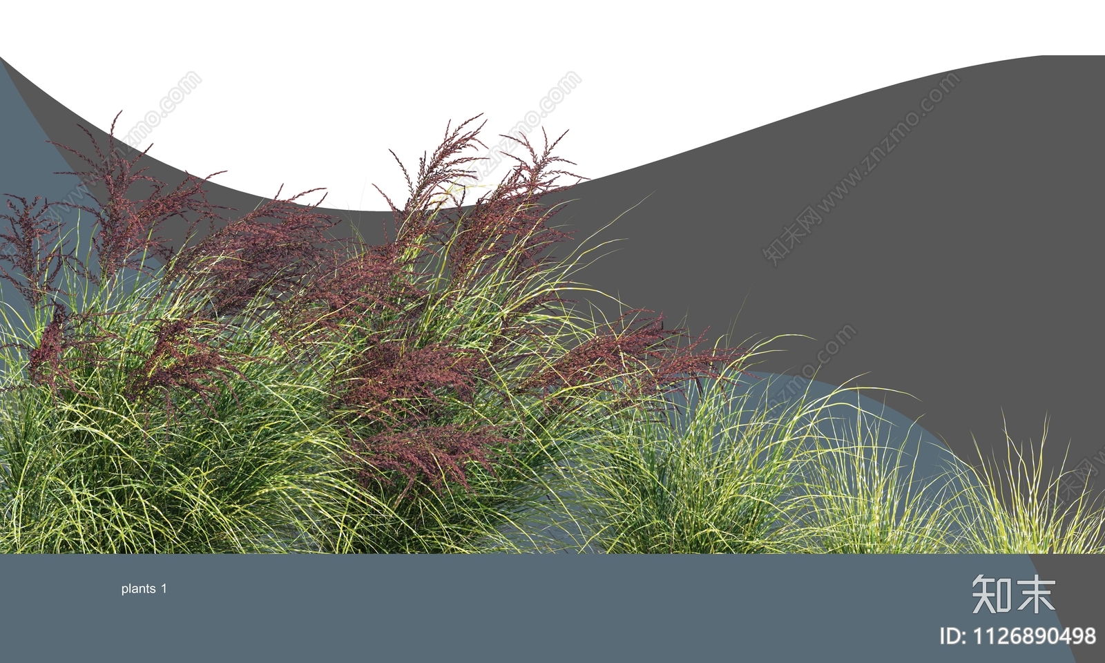 草丛草地观赏带植物组合PSD免抠贴图下载【ID:1126890498】