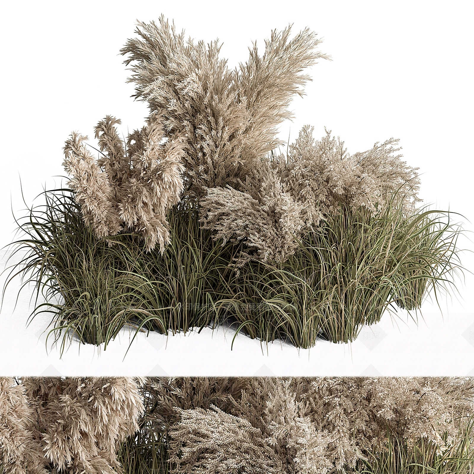 草3D模型下载【ID:1127032456】