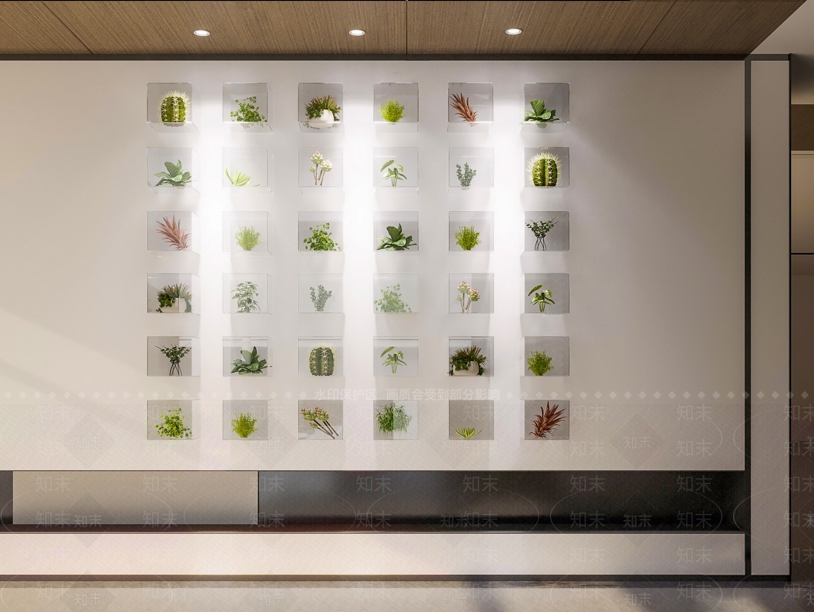 现代绿植植物标本背景墙SU模型下载【ID:1127135889】