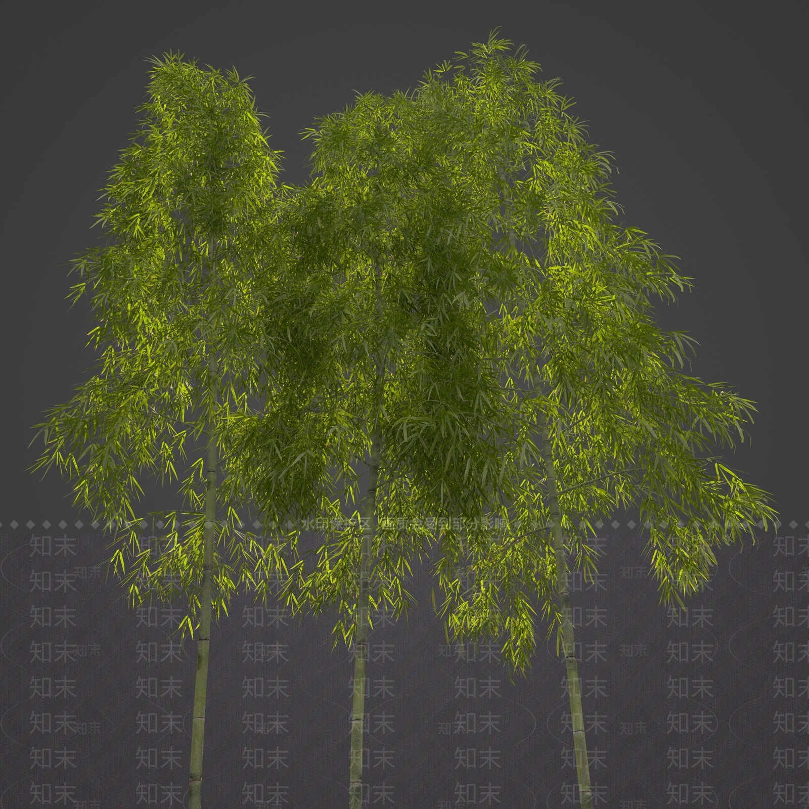 竹子3D模型下载【ID:1127075809】