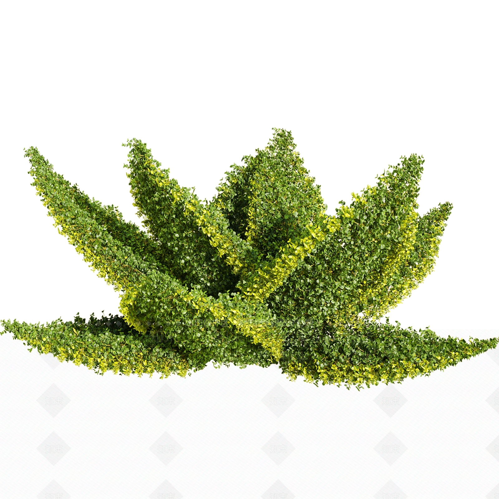 灌木3D模型下载【ID:1127102512】