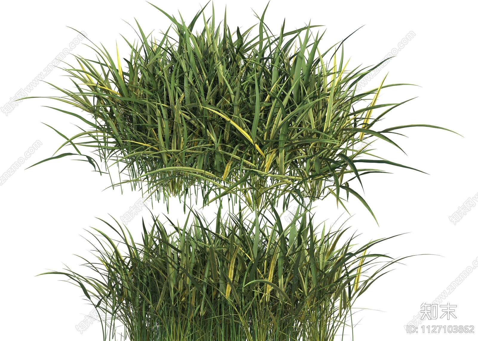 植物效果图PSD免抠贴图下载【ID:1127103862】_【知末网贴图库】