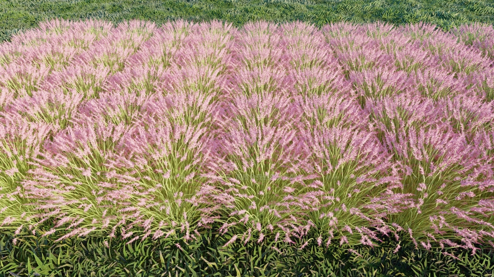 花卉花丛SU模型下载【ID:1127167690】