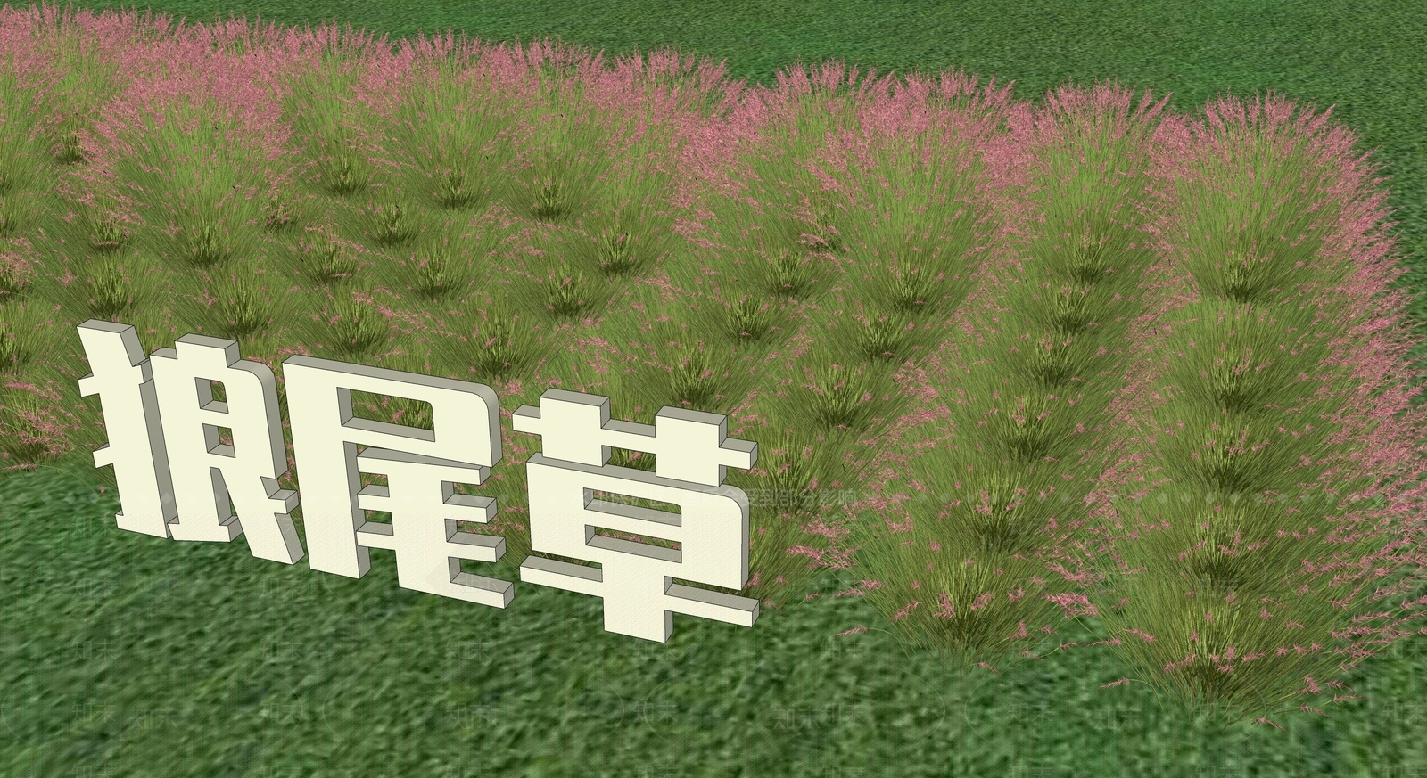 花卉花丛SU模型下载【ID:1127167690】