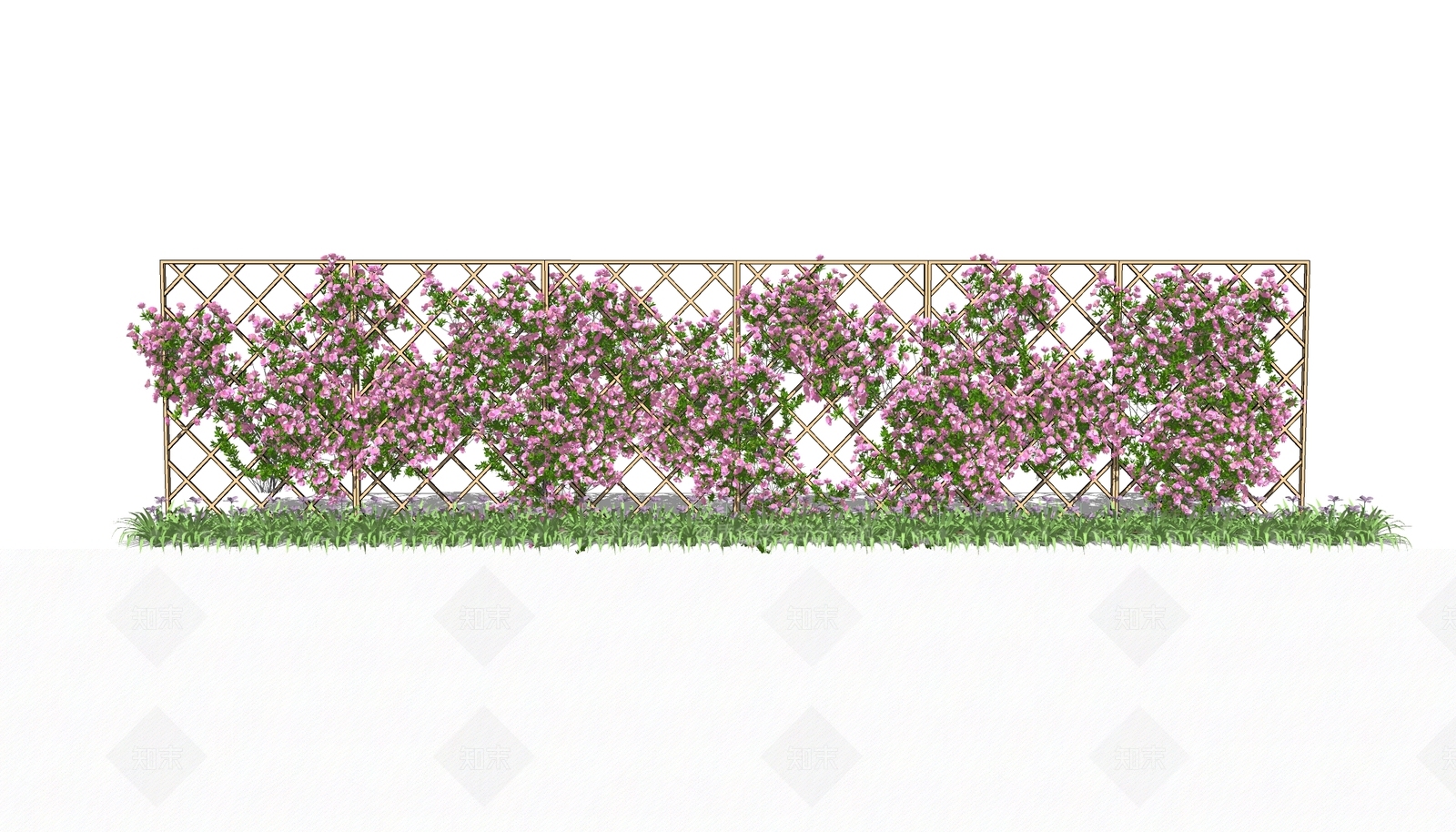 藤本爬藤植物SU模型下载【ID:1127309877】