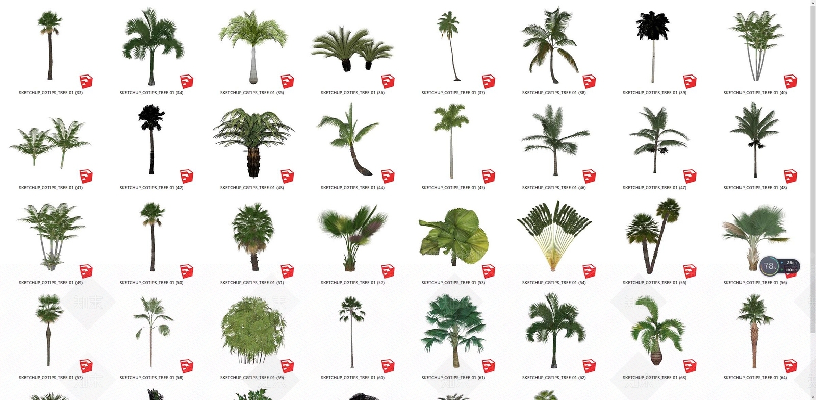 热带植物棕榈树SU模型下载【ID:1127409331】