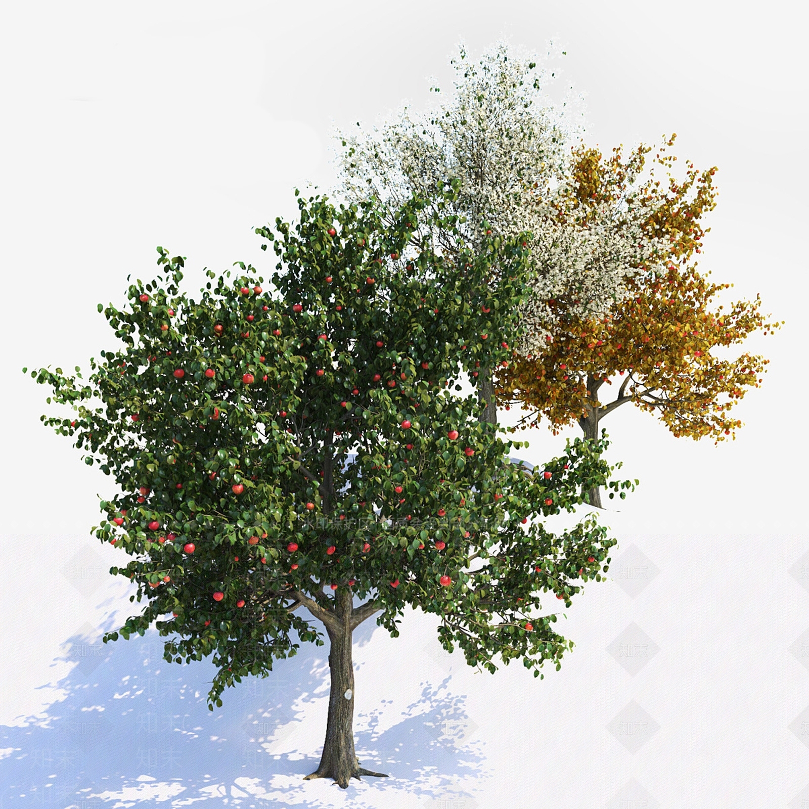 果树3D模型下载【ID:1127429398】