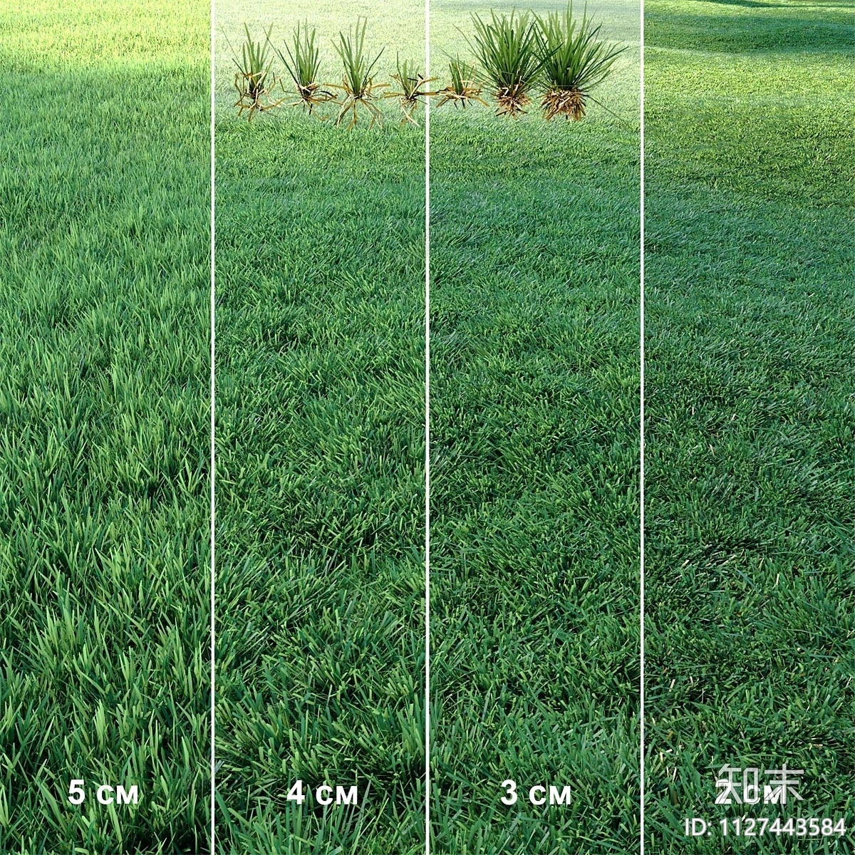 草坪3D模型下载【ID:1127443584】