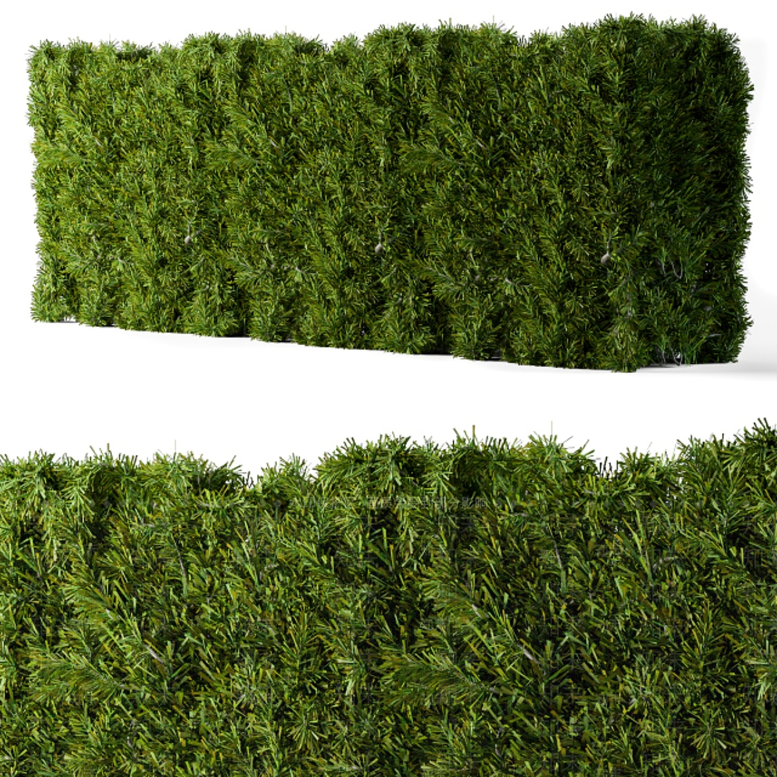 绿篱灌木3D模型下载【ID:1127444613】