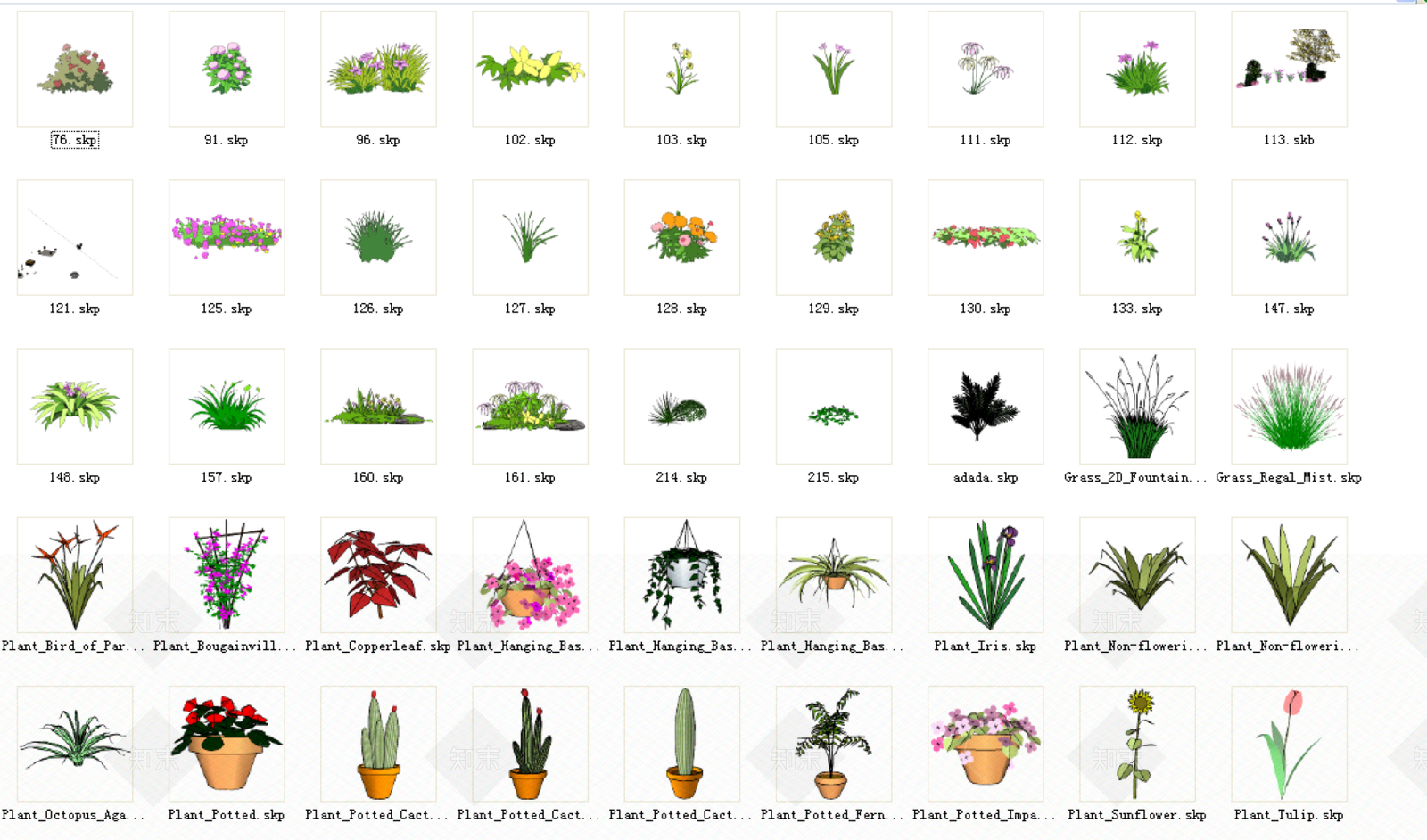 2D草花植物素材SU模型下载【ID:1127472802】