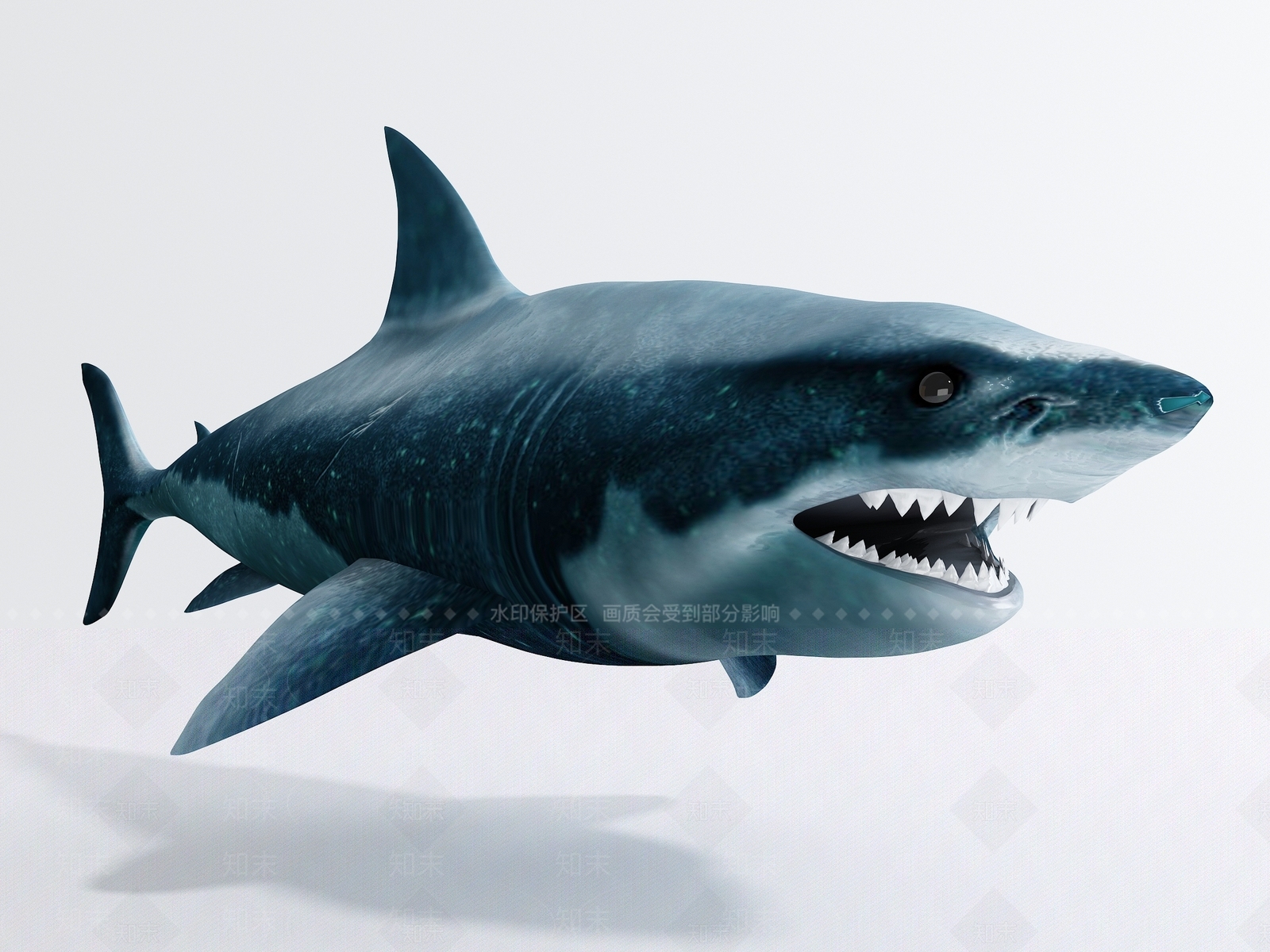 鲨鱼3D模型下载【ID:1127538568】