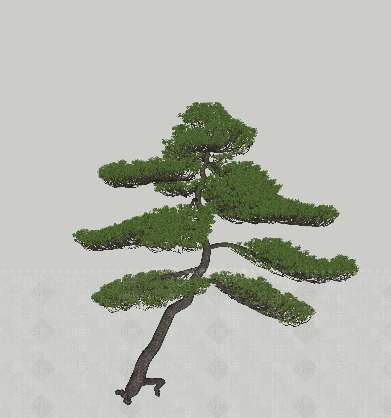 油松SU模型下载【ID:1127729253】_知末su模型网