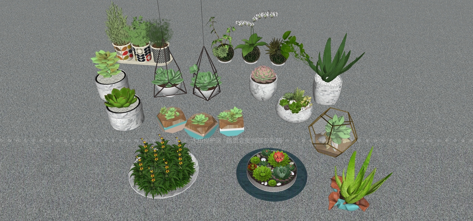 多肉盆栽植物SU模型下载【ID:1127813243】