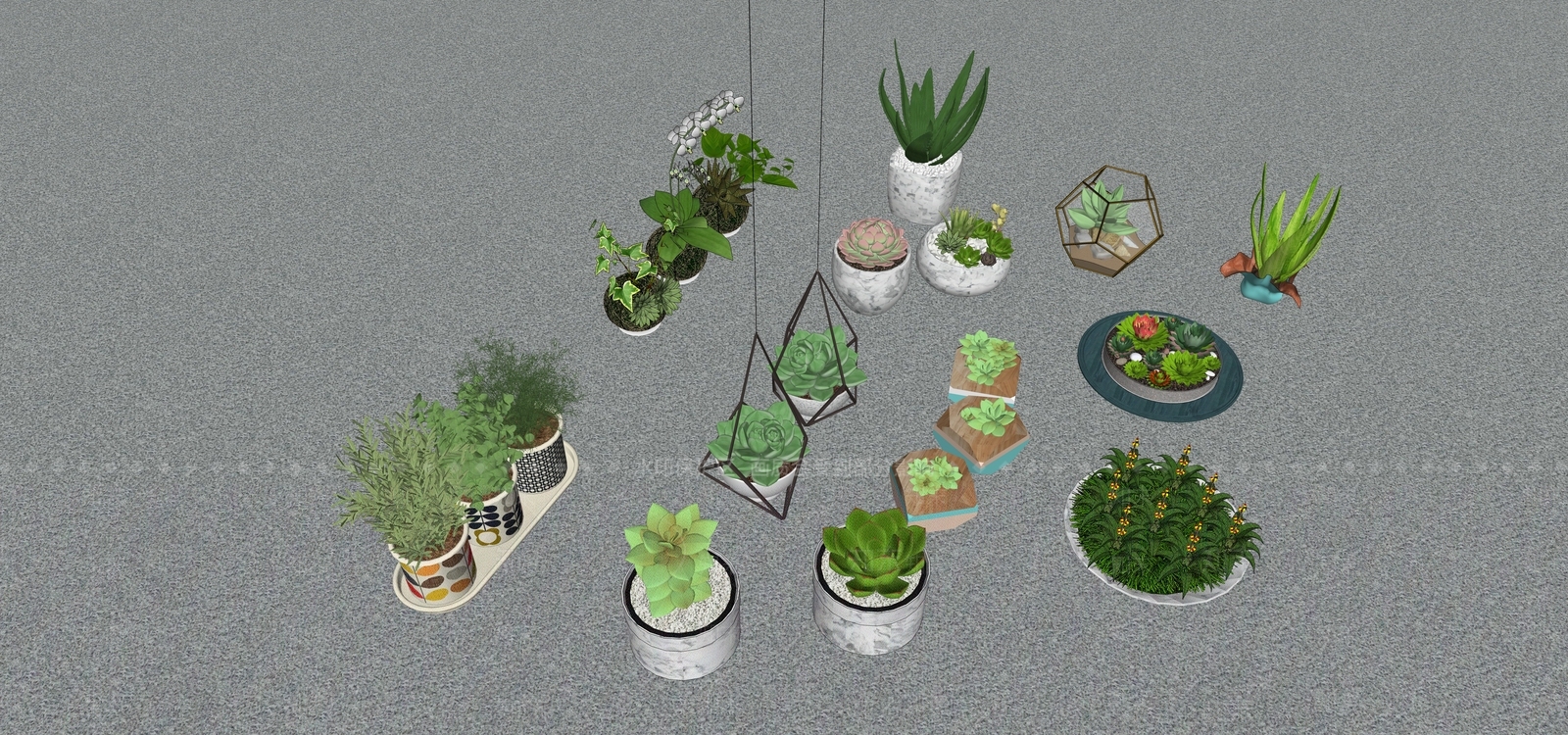多肉盆栽植物SU模型下载【ID:1127813243】