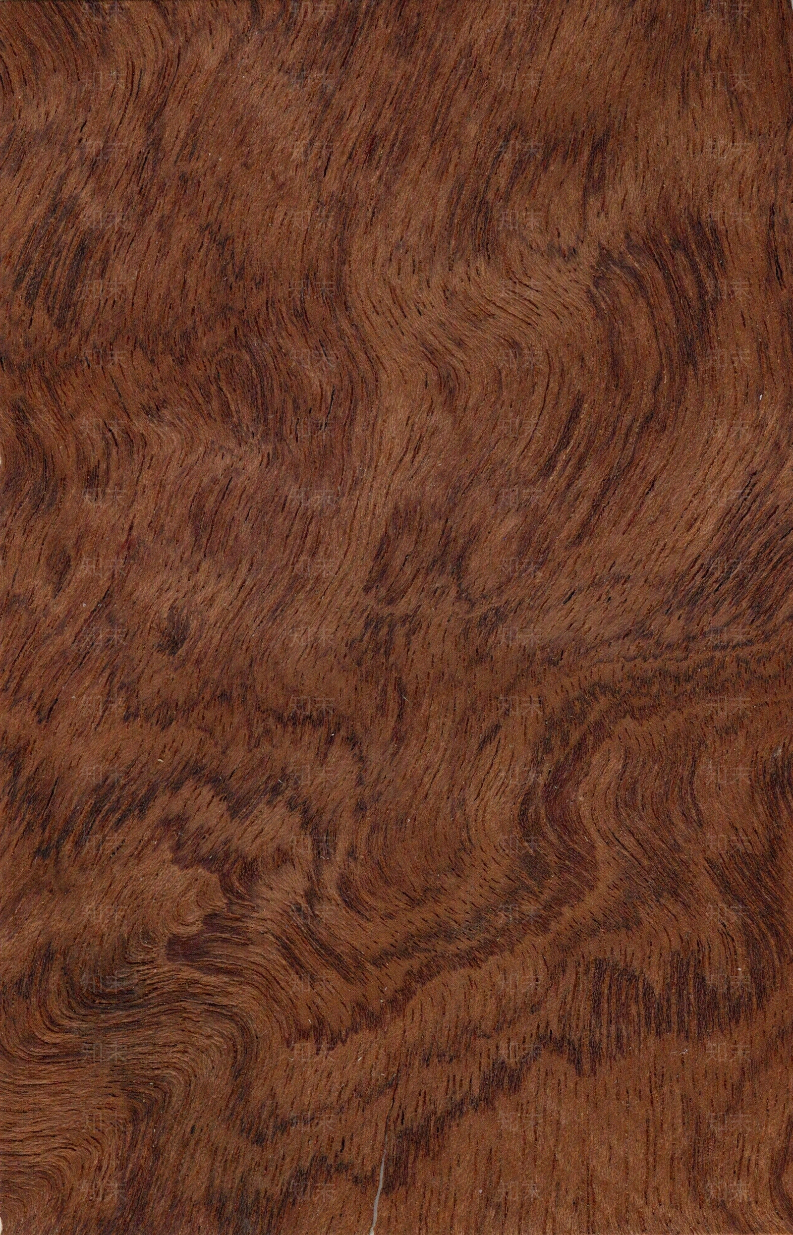 红棕色旧木木纹木饰面贴图下载【ID:1127850575】