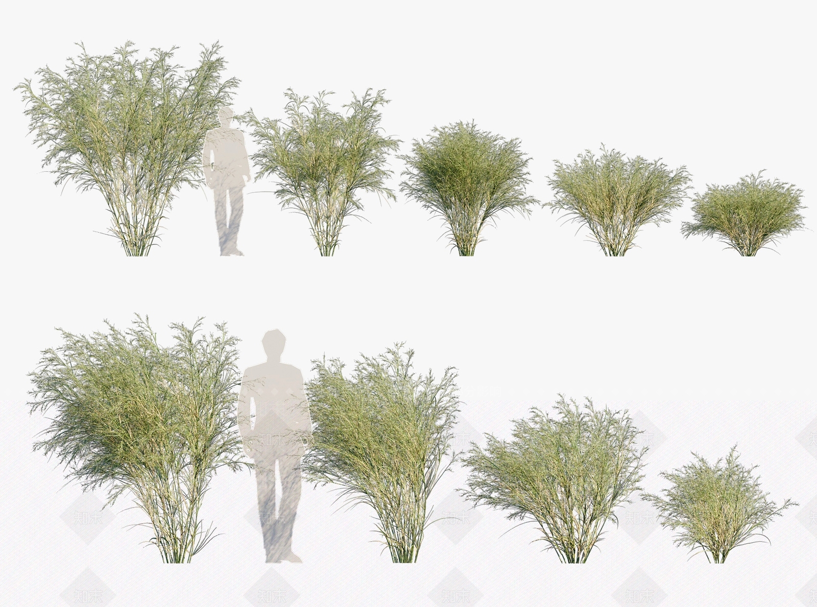 草3D模型下载【ID:1127851529】