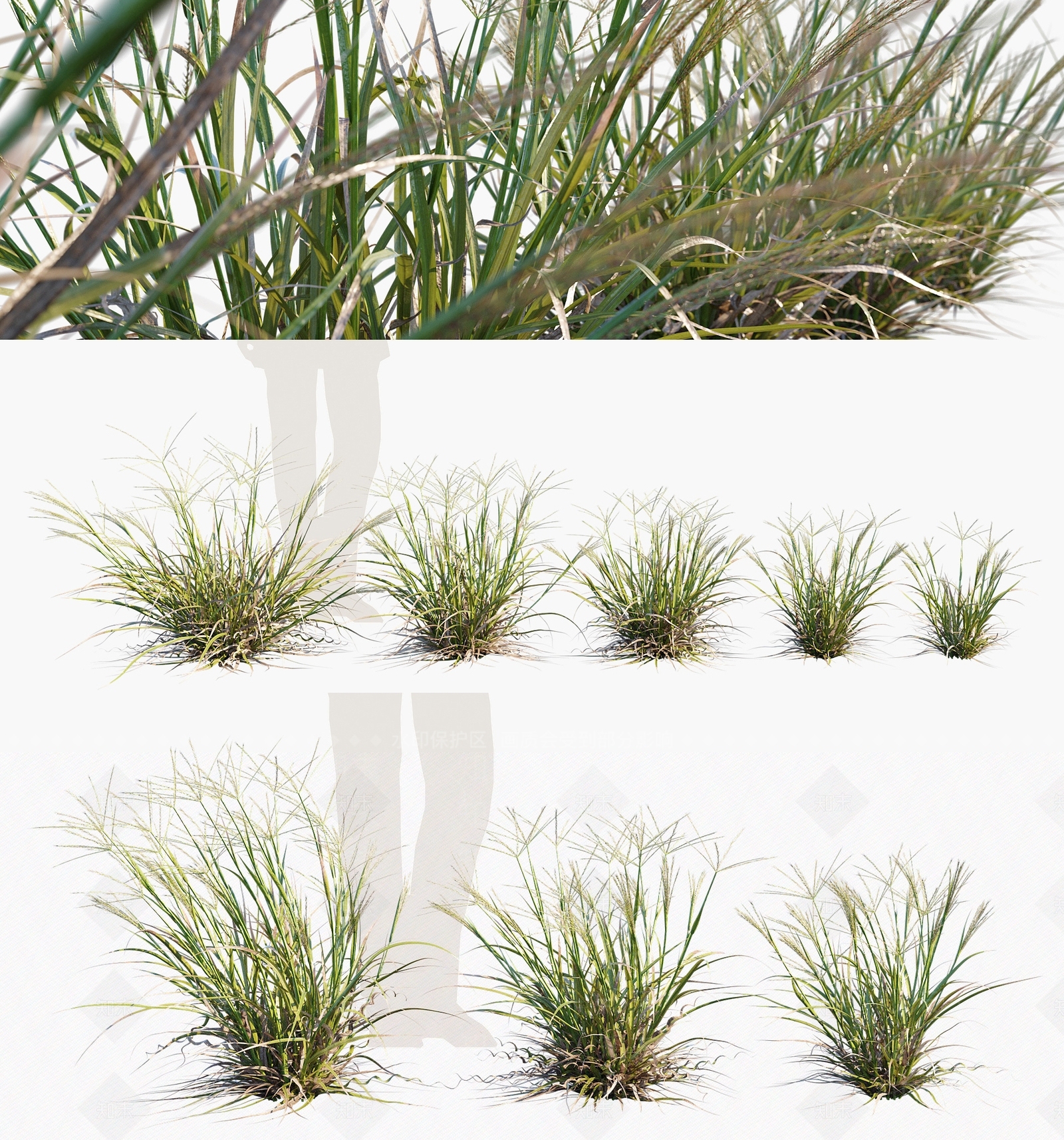 草3D模型下载【ID:1127858921】