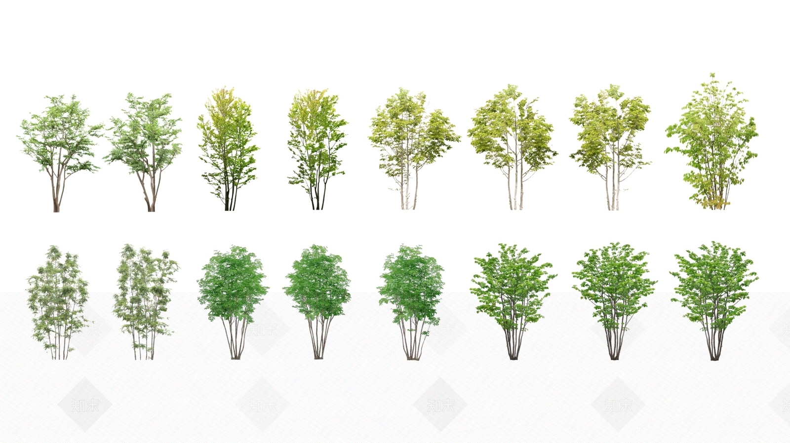 2D景观树乔木灌木植物行道树SU模型下载【ID:1128069333】