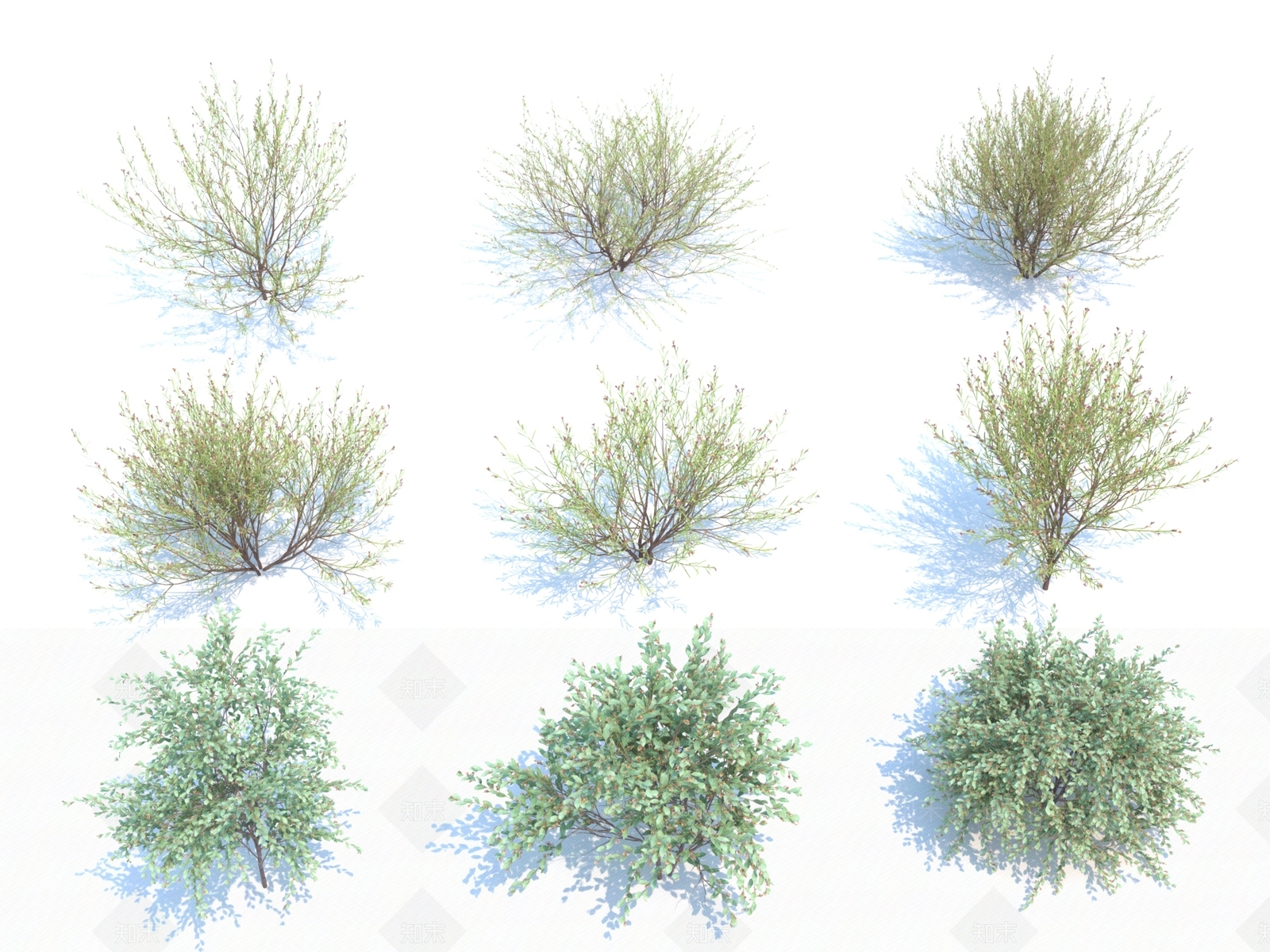 花草组合3D模型下载【ID:1128089293】