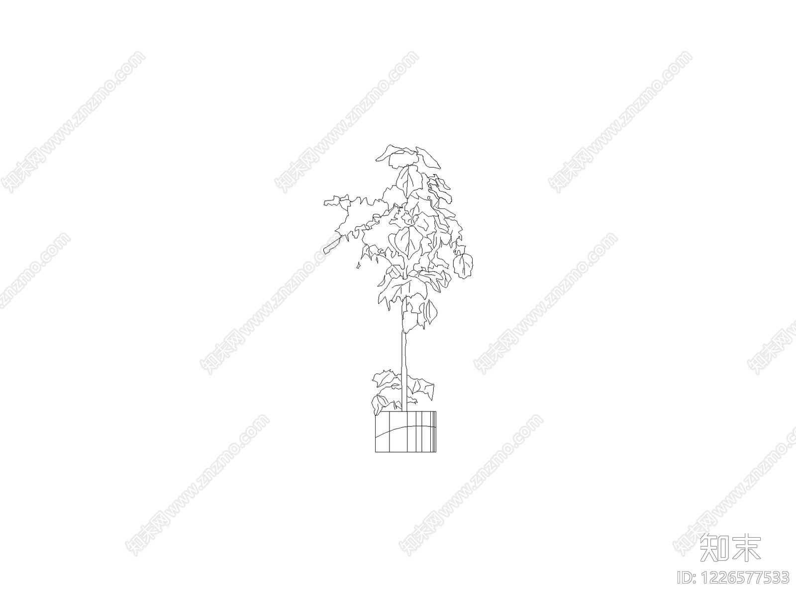 乔木种植cad施工图下载【ID:1226577533】