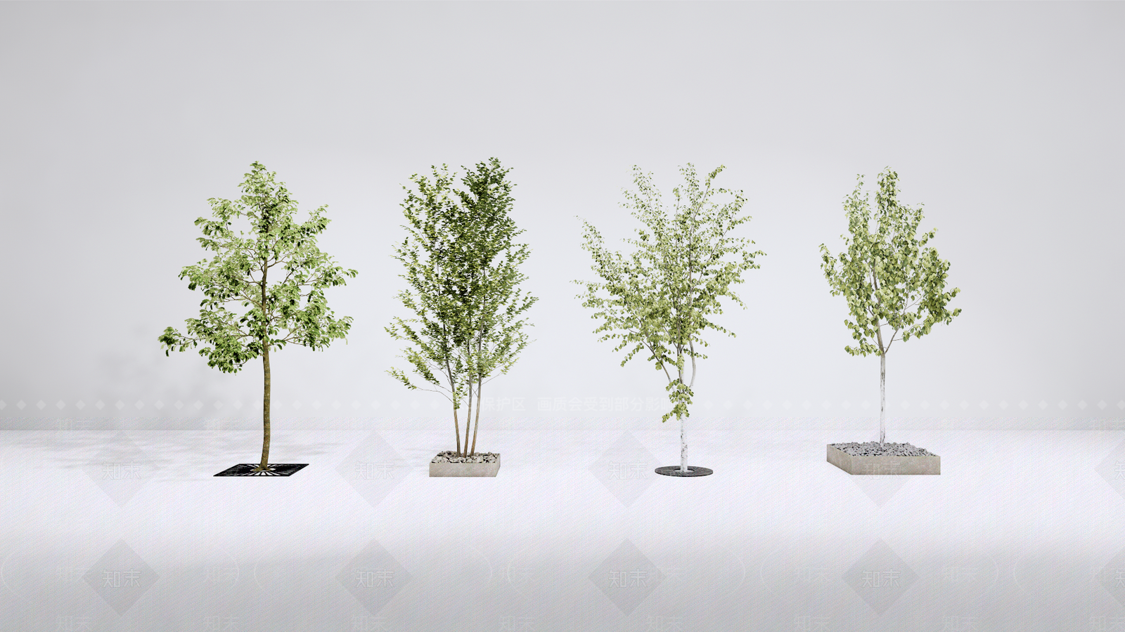 行道树SU模型下载【ID:1128236023】