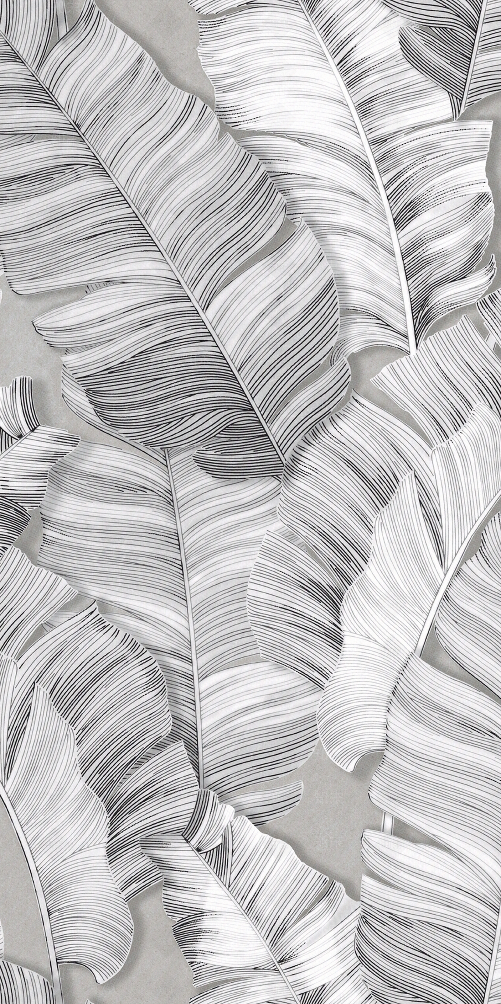 黑白线条植物艺术砖贴图下载【ID:1128262638】