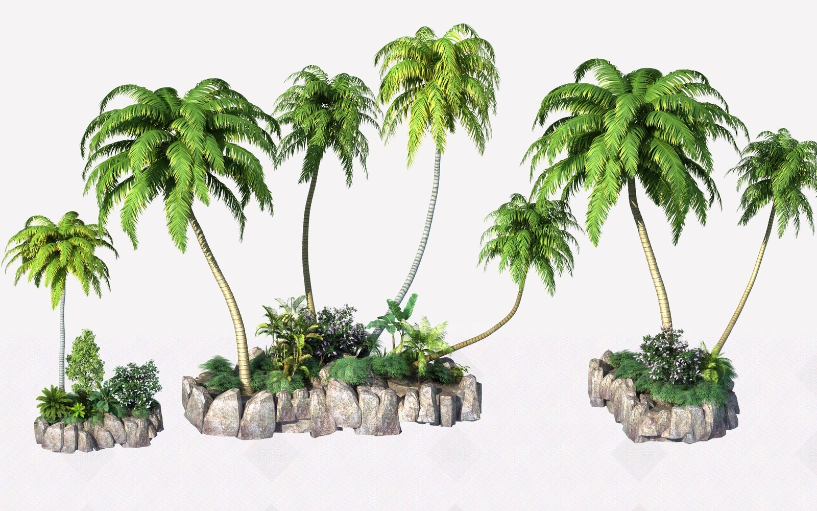 热带椰子树SU模型下载【ID:1128302785】