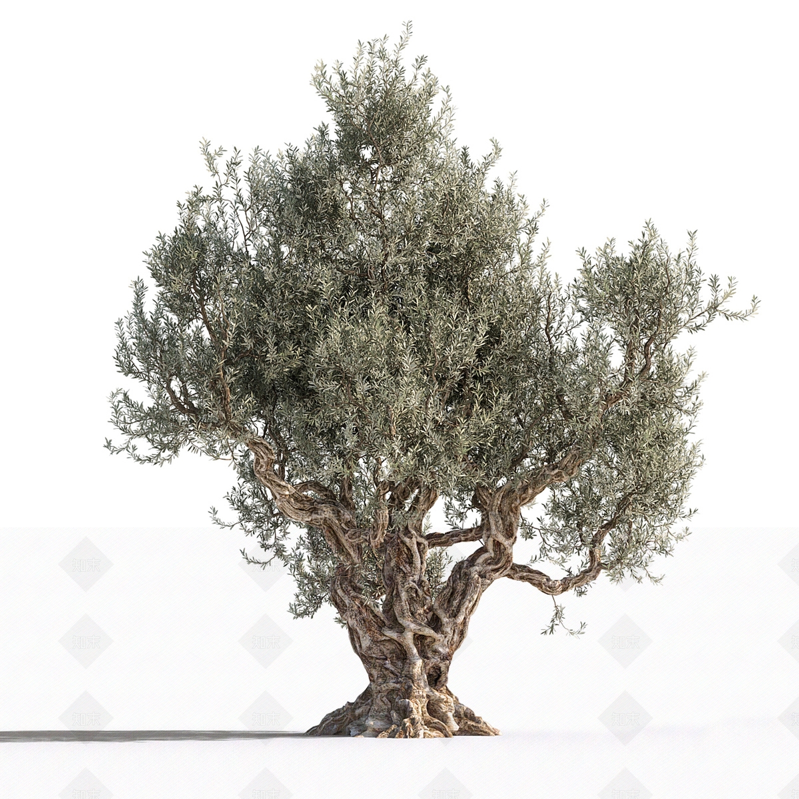 千年古树3D模型下载【ID:1128313706】