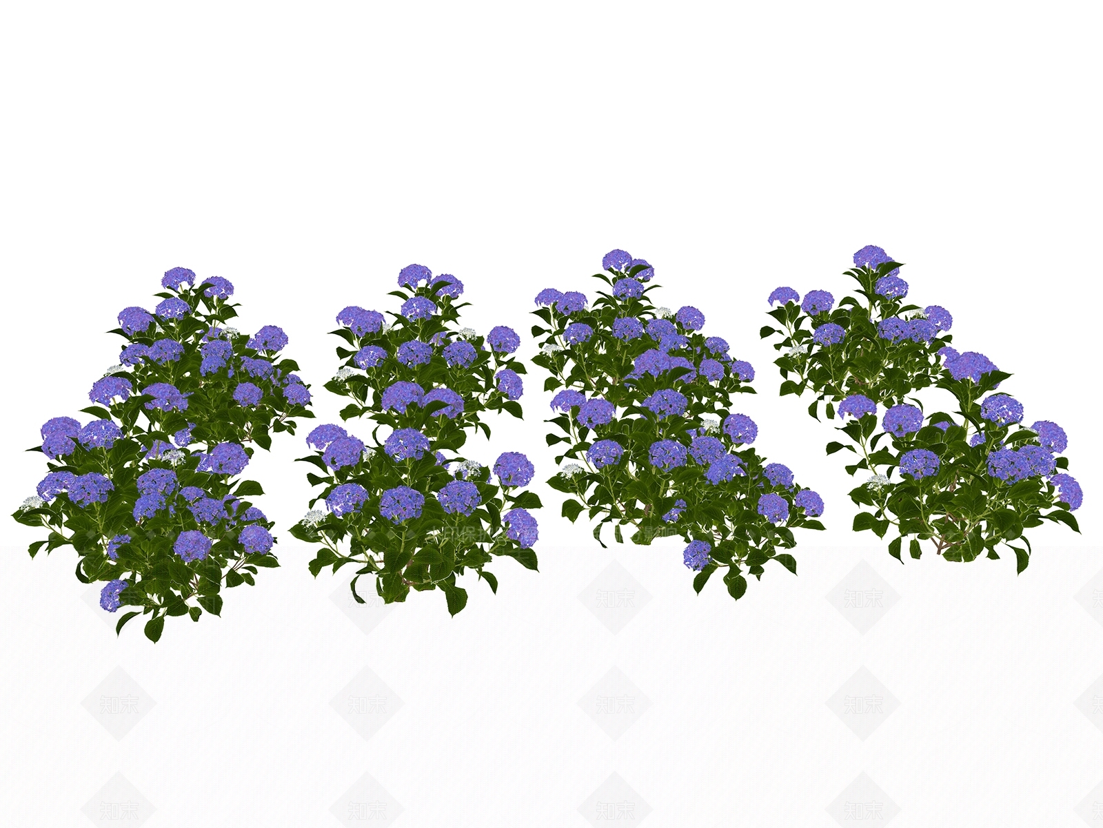 灌木SU模型草图