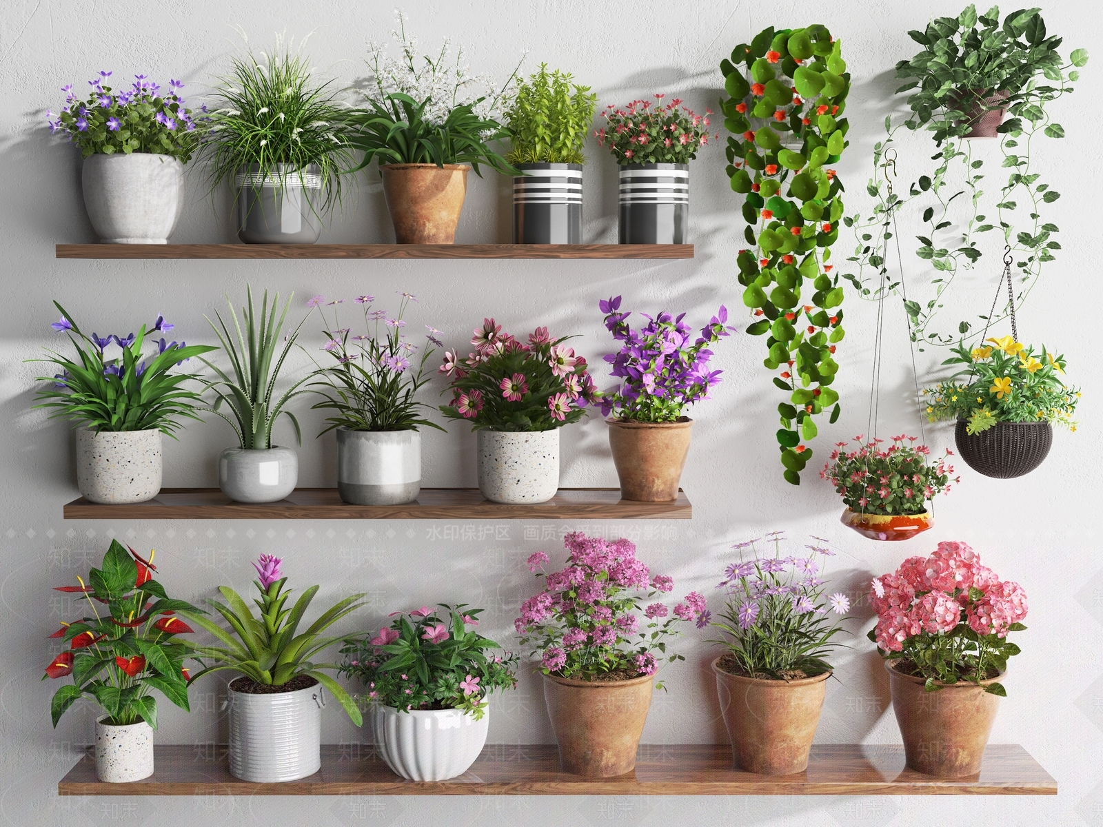 花卉盆栽3D模型下载【ID:1128324230】